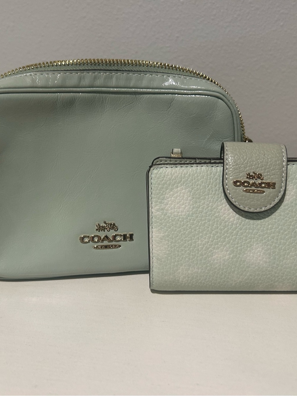 Mini Carey Crossbody Coach Bag with matching wallet.